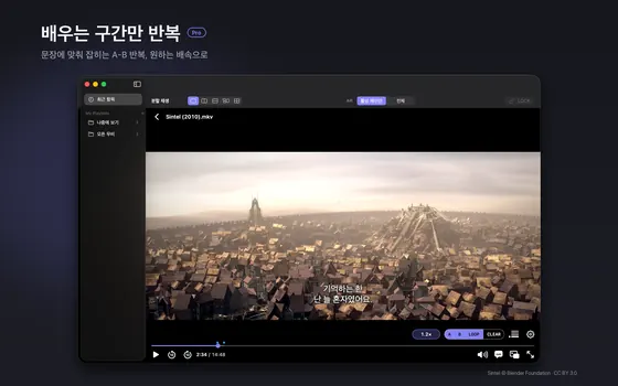 slplayer에서 영상 아래 조작 막대에 1.2배속과 A, B, LOOP, CLEAR 버튼이 활성화된 상태. Pro 배지가 있다